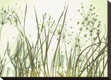 Watery Grasses III