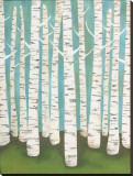 Summer Birches