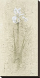Iris II