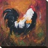Rooster  no 503