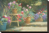 Potted Flowers