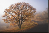 Clearing