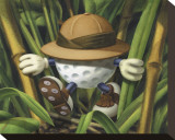 Lost Ball
