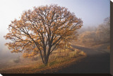 Clearing