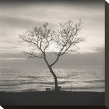Tree  Study  no 5