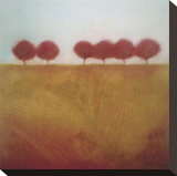Tuscany Grove