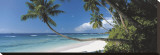 Anse Severe  Seychelles