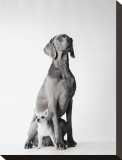 Max and Roxie