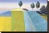 Tuscan Reverie