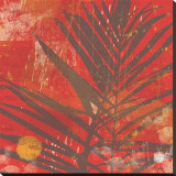 Exotic Palm
