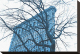 Blue Flatiron