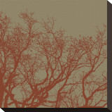 Cinnamon Tree II