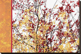 Painted Branches
