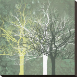 Silent Forest