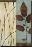 Quiet Leaves