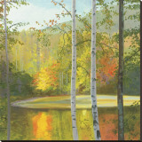 Cooper Lake  Autumn