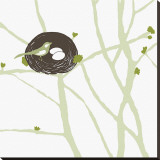 Feathers and Twigs