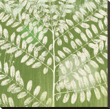 Forest Leaves