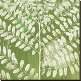 Forest Leaves