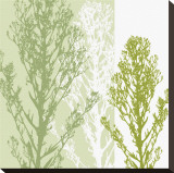 Gossamer Greens