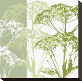 Delicate Greens