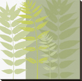 Field Greens