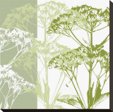 Delicate Greens