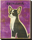 Chihuahua (black and white)