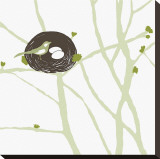 Feathers and Twigs