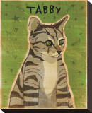 Tabby (grey)