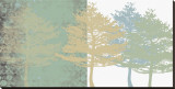 Whisper Through the Trees