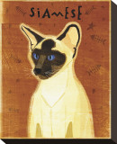 Siamese