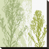 Gossamer Greens