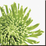 Green Bloom III (detail)
