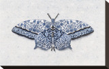 All a Flutter