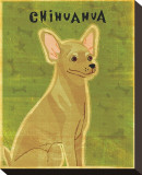 Chihuahua (tan)