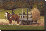 Amish Harvest