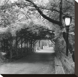 Central Park Pergola