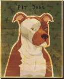Pit Bull