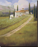 Tuscany Vineyard