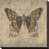 Leopard Butterfly