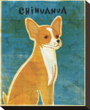 Chihuahua (red)