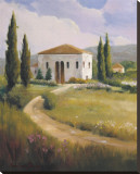 Tuscany Afternoon