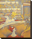 The Circus