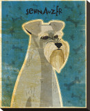 Schnauzer