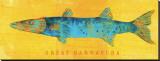 Great Barracuda