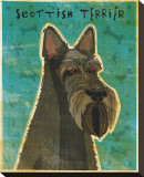 Scottish Terrier