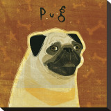 Pug