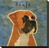 Boxer