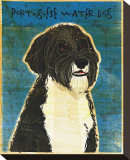 Portuguese Water Dog